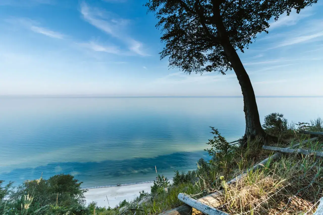 Widok na spokojne morze z klifu w Międzyzdrojach. Drzewo na pierwszym planie i plaża poniżej to jedne z pięknych międzyzdrojskich atrakcji.